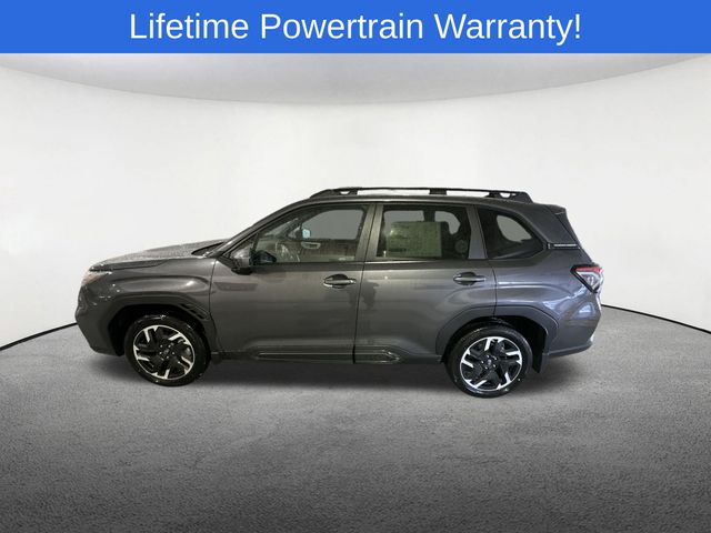 Thumbnail: 2026 Subaru Forester - 11