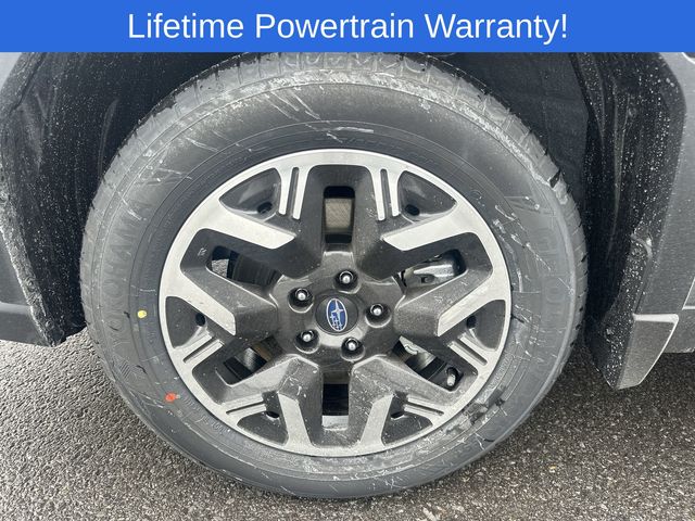 Thumbnail: 2026 Subaru Forester - 16