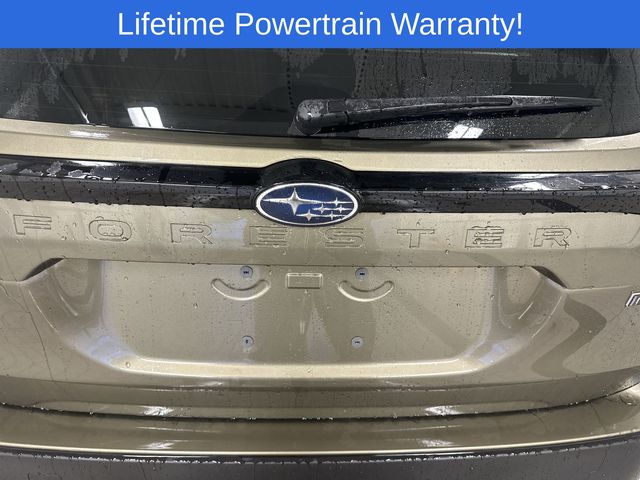 Thumbnail: 2025 Subaru Forester - 16