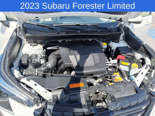 Thumbnail: 2023 Subaru Forester - 19