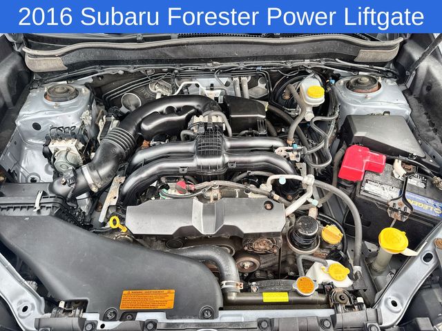 Thumbnail: 2016 Subaru Forester - 19