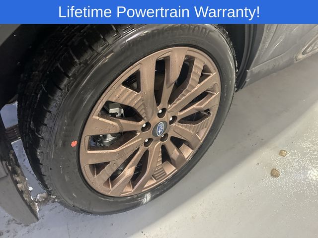 Thumbnail: 2026 Subaru Forester - 17