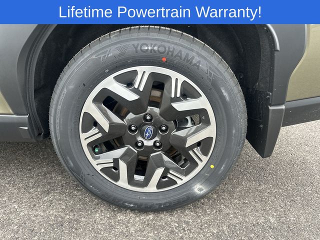 Thumbnail: 2026 Subaru Forester - 17