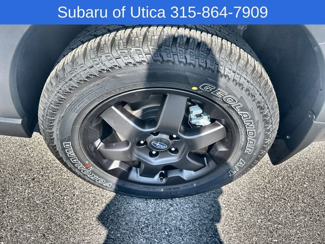 Thumbnail: 2025 Subaru Outback - 16