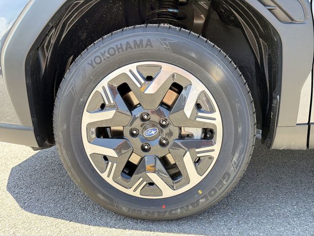 Thumbnail: 2026 Subaru Forester - 17