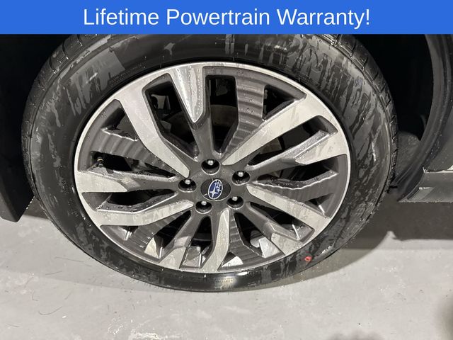 Thumbnail: 2026 Subaru Forester - 16