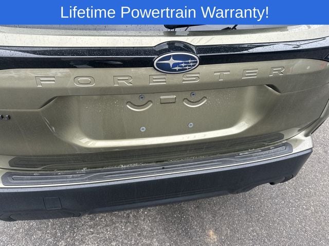 Thumbnail: 2026 Subaru Forester - 16