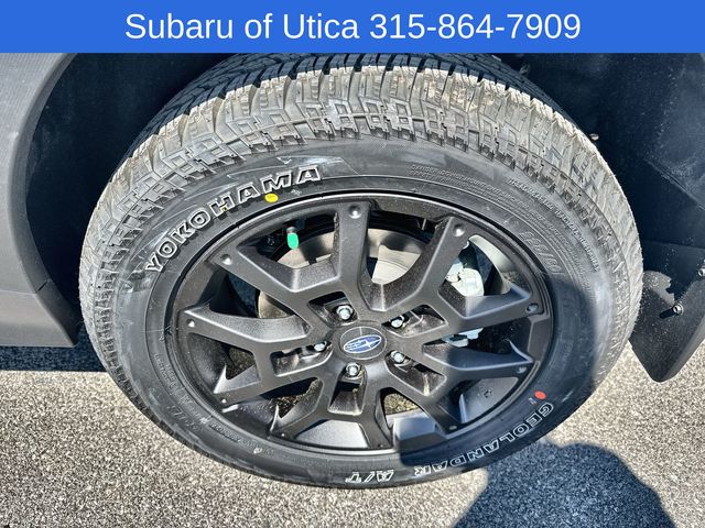 2025 Subaru Crosstrek Wilderness 16