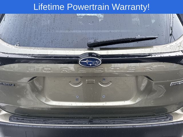 Thumbnail: 2025 Subaru Forester - 15
