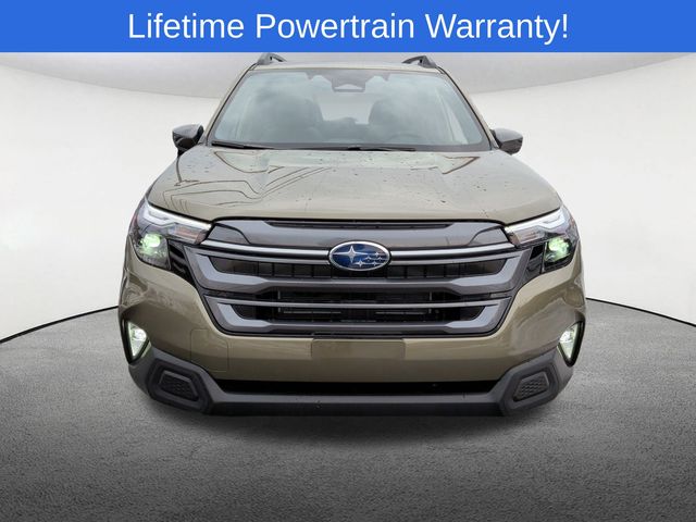 Thumbnail: 2025 Subaru Forester - 17
