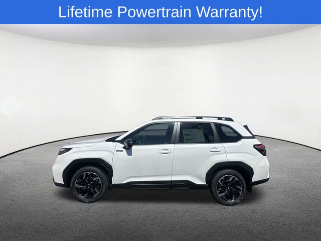 Thumbnail: 2026 Subaru Forester - 11
