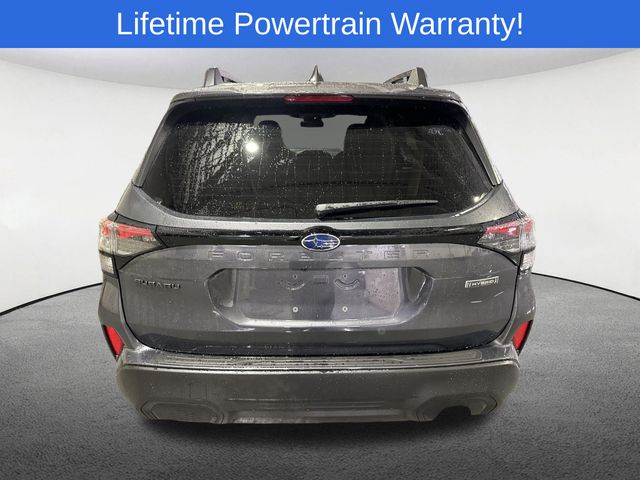 Thumbnail: 2025 Subaru Forester - 13
