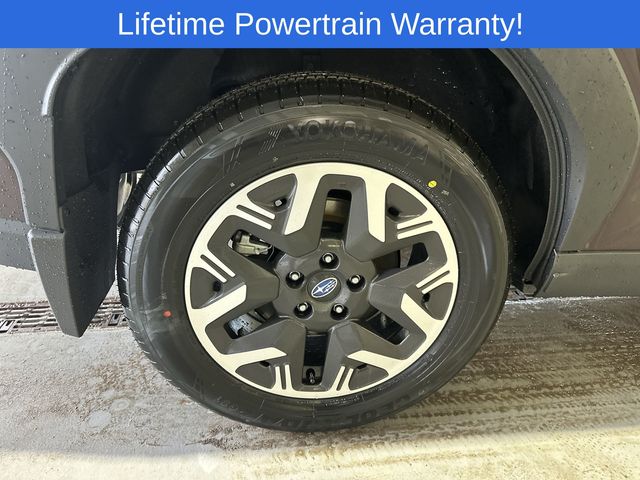 Thumbnail: 2026 Subaru Forester - 16