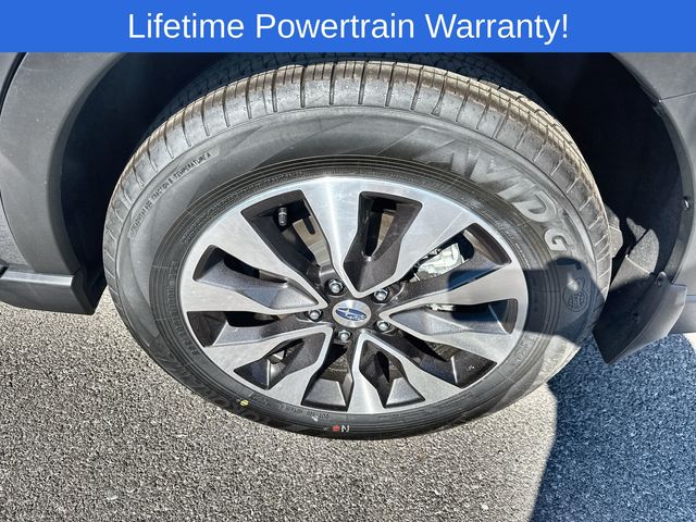 Thumbnail: 2025 Subaru Outback - 16