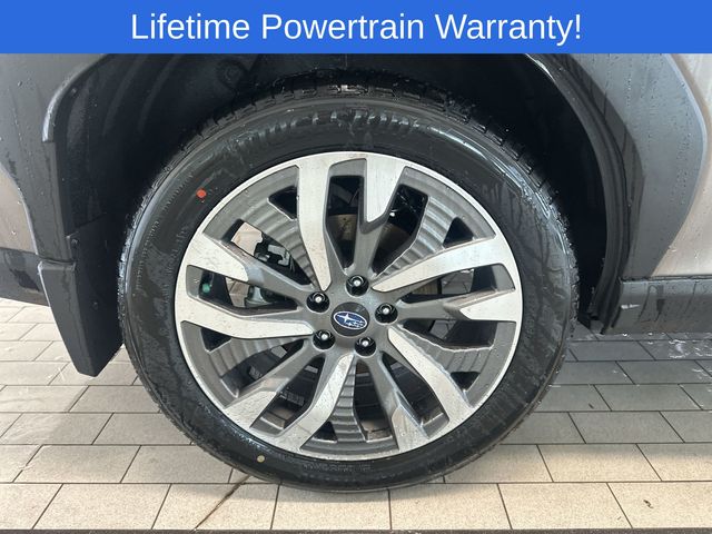 Thumbnail: 2025 Subaru Forester - 17