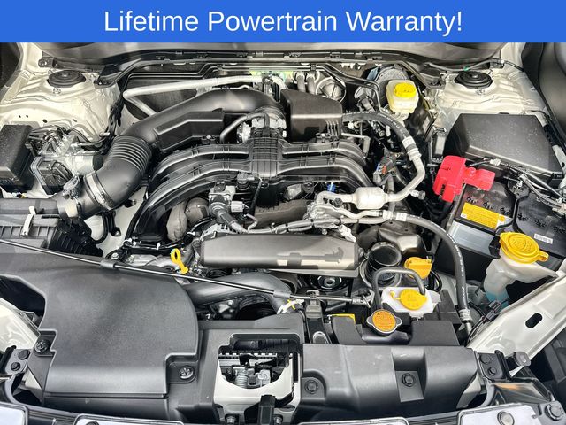 Thumbnail: 2025 Subaru Forester - 17