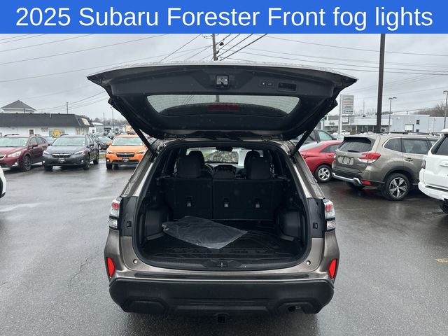 Thumbnail: 2025 Subaru Forester - 29