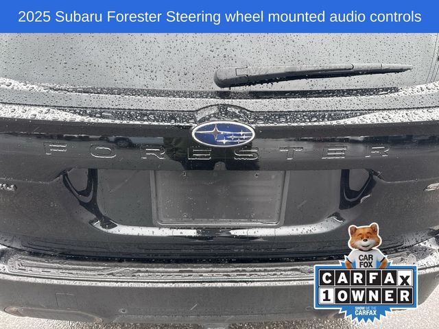 Thumbnail: 2025 Subaru Forester - 17