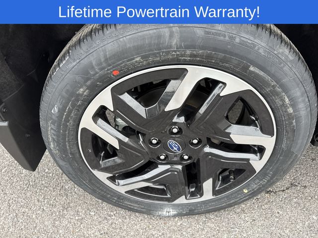 Thumbnail: 2026 Subaru Forester - 16