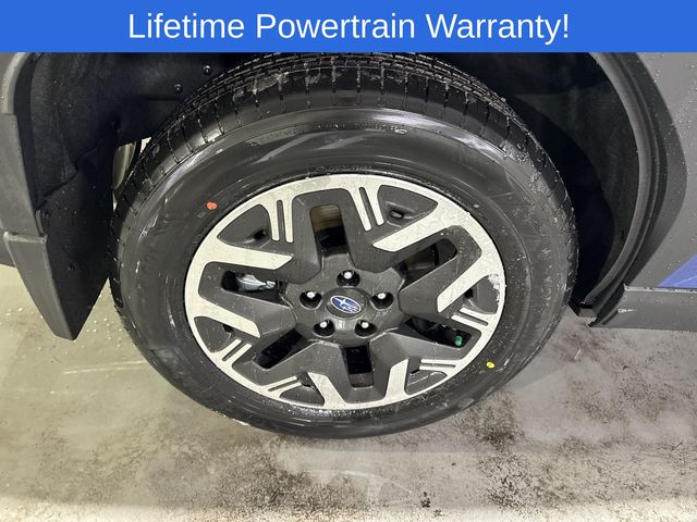 Thumbnail: 2026 Subaru Forester - 17