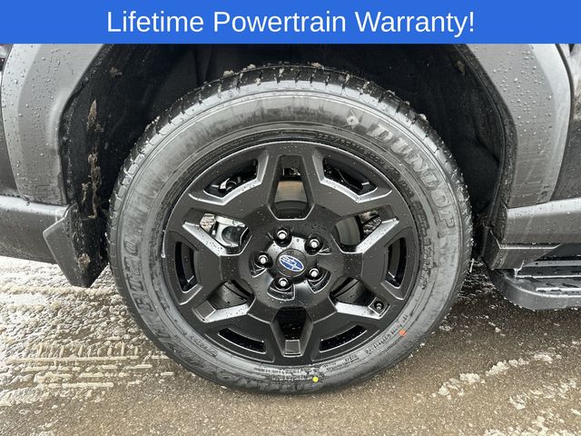 Thumbnail: 2026 Subaru Outback - 17