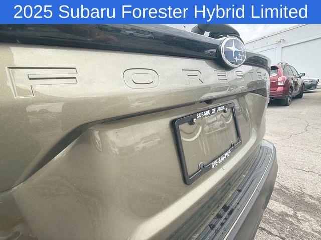 Thumbnail: 2025 Subaru Forester - 24