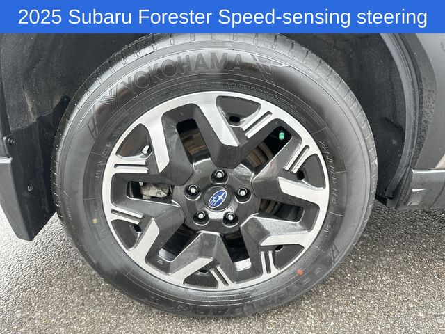 Thumbnail: 2025 Subaru Forester - 18