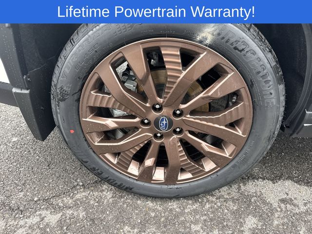 Thumbnail: 2026 Subaru Forester - 16