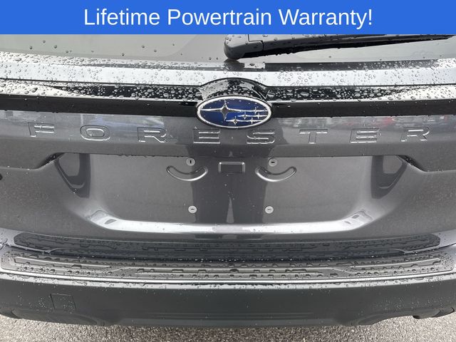 Thumbnail: 2026 Subaru Forester - 15
