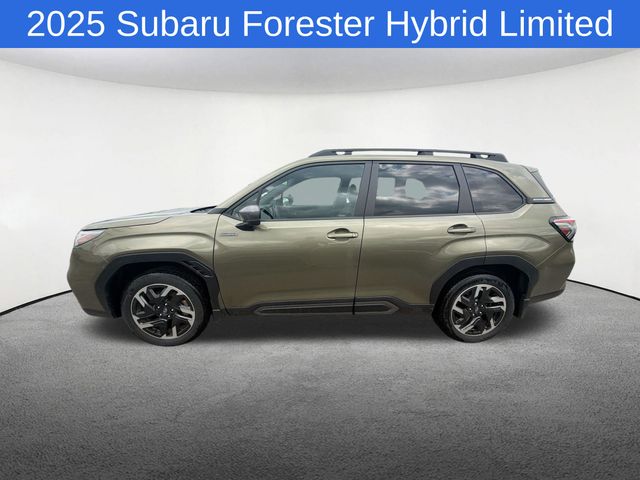 Thumbnail: 2025 Subaru Forester - 13