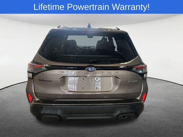 Thumbnail: 2025 Subaru Forester - 14