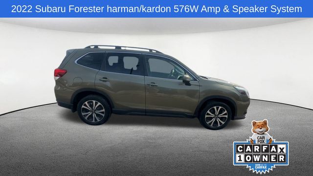 Thumbnail: 2022 Subaru Forester - 10