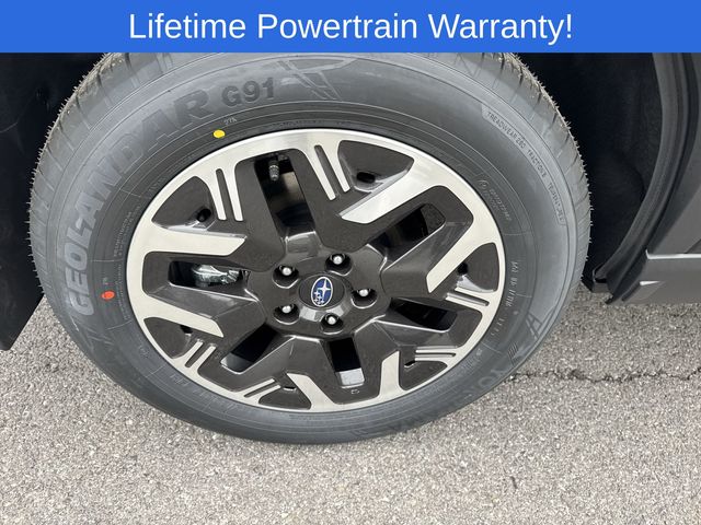 Thumbnail: 2026 Subaru Forester - 16