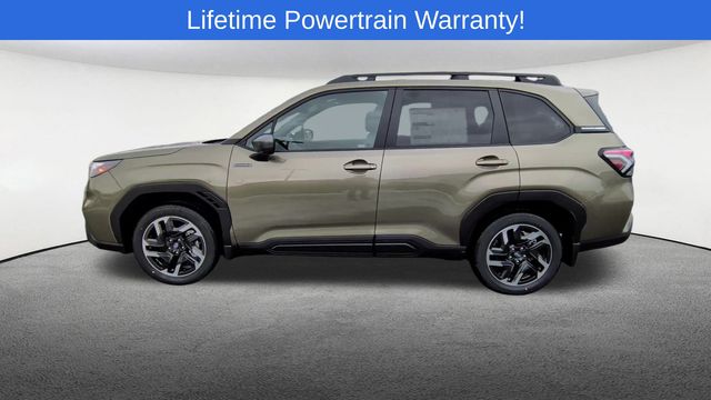 Thumbnail: 2025 Subaru Forester - 6