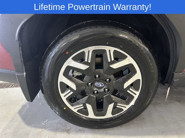 Thumbnail: 2026 Subaru Forester - 17