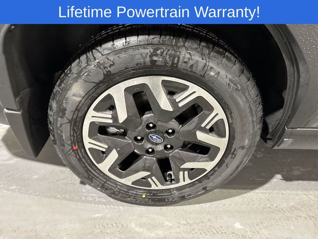 Thumbnail: 2026 Subaru Forester - 16