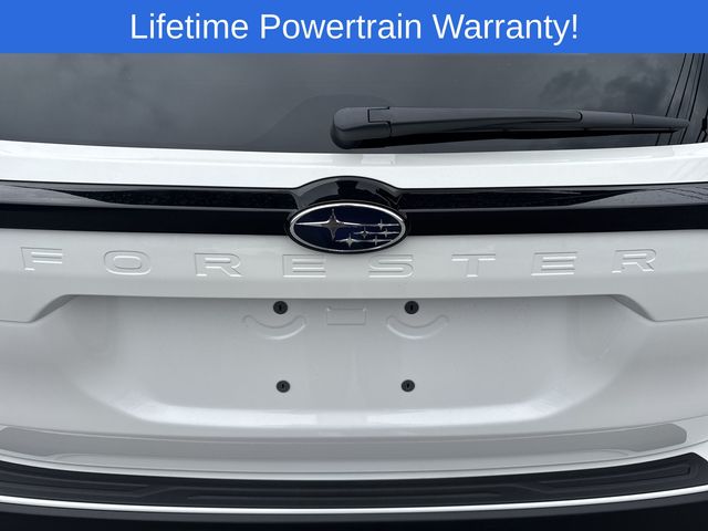 Thumbnail: 2026 Subaru Forester - 15