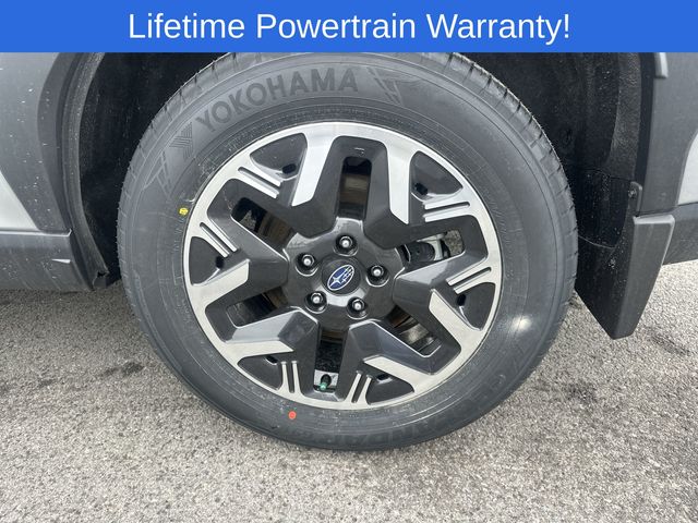 Thumbnail: 2026 Subaru Forester - 16