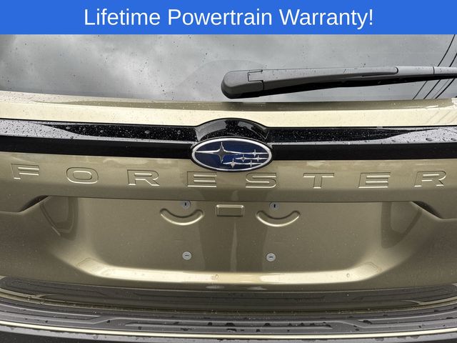 Thumbnail: 2025 Subaru Forester - 15