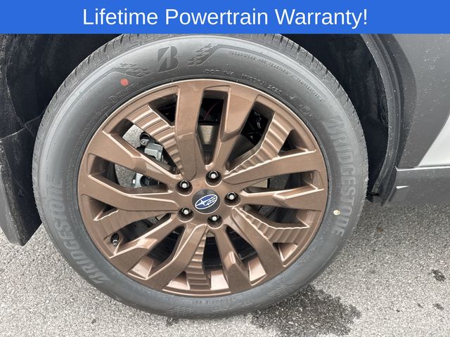 Thumbnail: 2025 Subaru Forester - 16