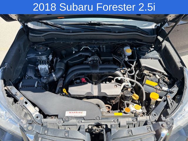 Thumbnail: 2018 Subaru Forester - 19