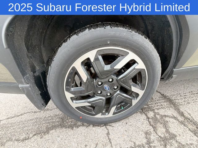 Thumbnail: 2025 Subaru Forester - 18