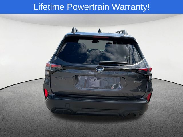Thumbnail: 2026 Subaru Forester - 13
