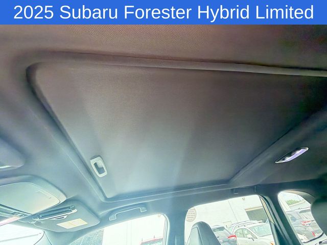 Thumbnail: 2025 Subaru Forester - 31