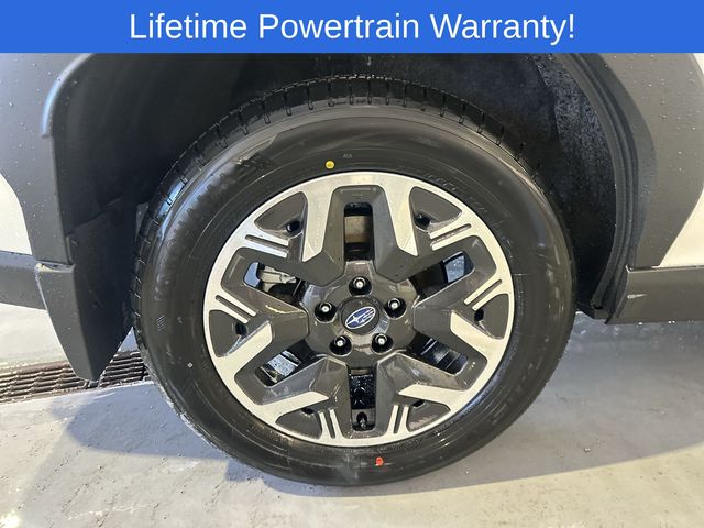 Thumbnail: 2026 Subaru Forester - 17