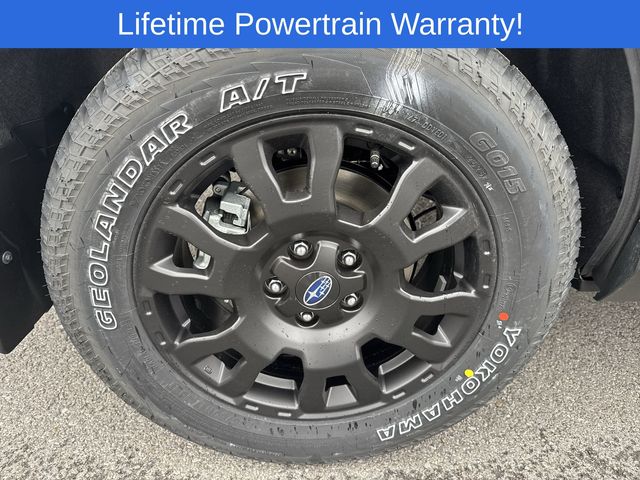 Thumbnail: 2026 Subaru Forester - 16