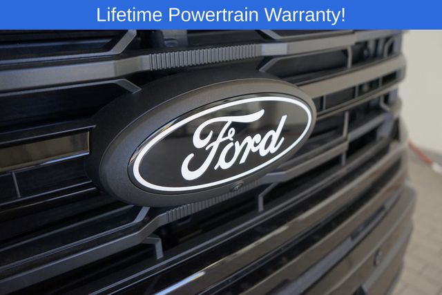 Thumbnail: 2025 Ford F-150 - 19