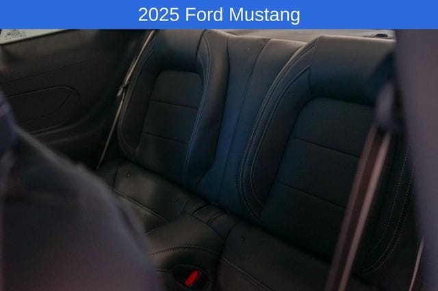 Thumbnail: 2025 Ford Mustang - 20