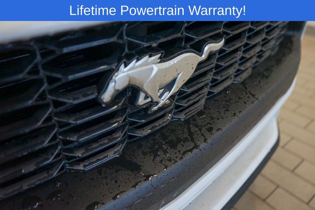 Thumbnail: 2025 Ford Mustang - 10