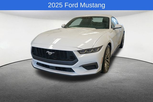 2025 Ford Mustang  -
                  Utica, NY